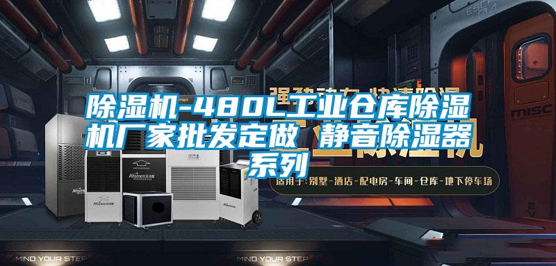 除濕機-480L工業倉庫除濕機廠家批發定做 靜音除濕器系列