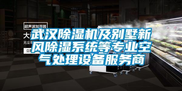 武漢除濕機及別墅新風除濕系統等專業空氣處理設備服務商