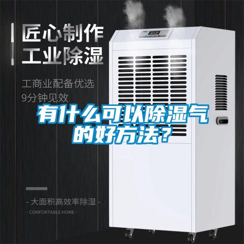 有什么可以除濕氣的好方法？