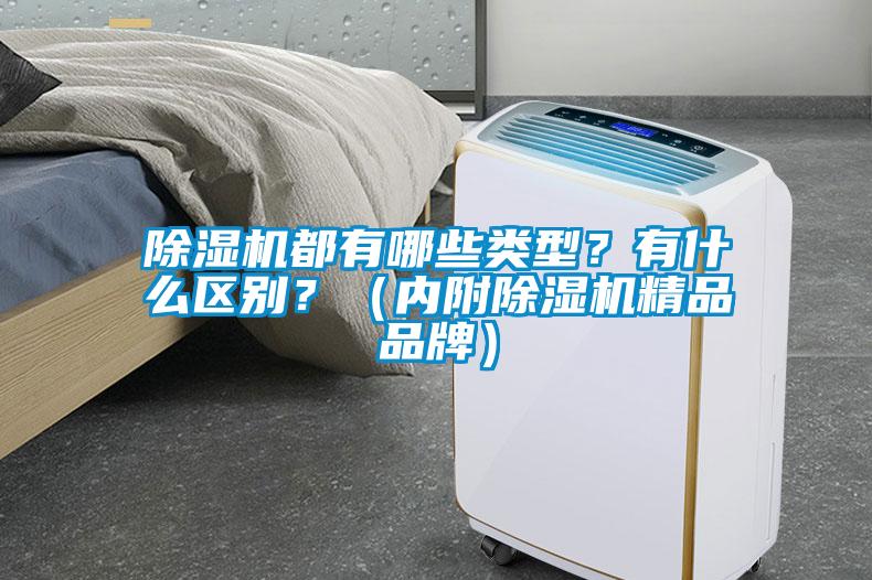 除濕機都有哪些類型？有什么區別？（內附除濕機精品品牌）