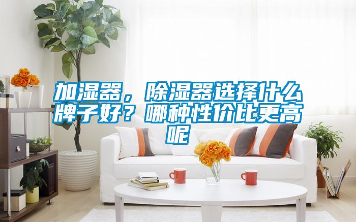 加濕器，除濕器選擇什么牌子好？哪種性價比更高呢