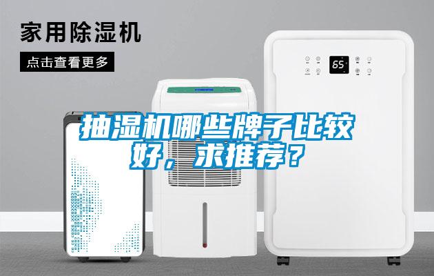 抽濕機哪些牌子比較好，求推薦？