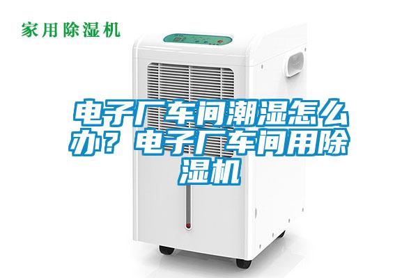 電子廠車間潮濕怎么辦？電子廠車間用除濕機