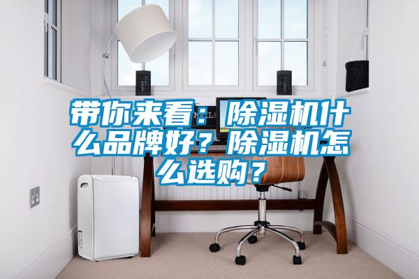 帶你來看：除濕機什么品牌好？除濕機怎么選購？