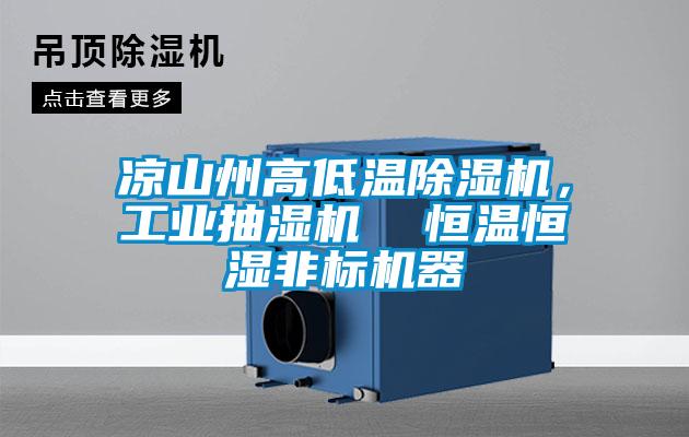 涼山州高低溫除濕機，工業抽濕機  恒溫恒濕非標機器