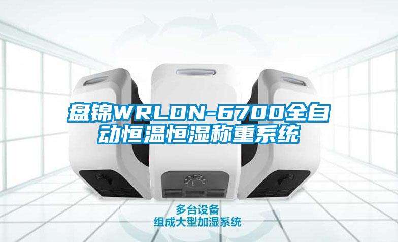 盤錦WRLDN-6700全自動恒溫恒濕稱重系統