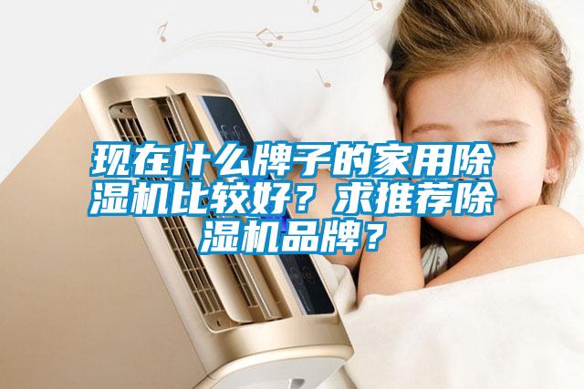 現在什么牌子的家用除濕機比較好？求推薦除濕機品牌？