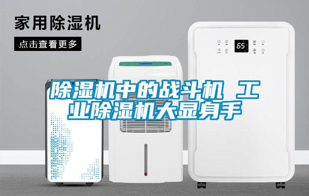 除濕機中的戰斗機 工業除濕機大顯身手