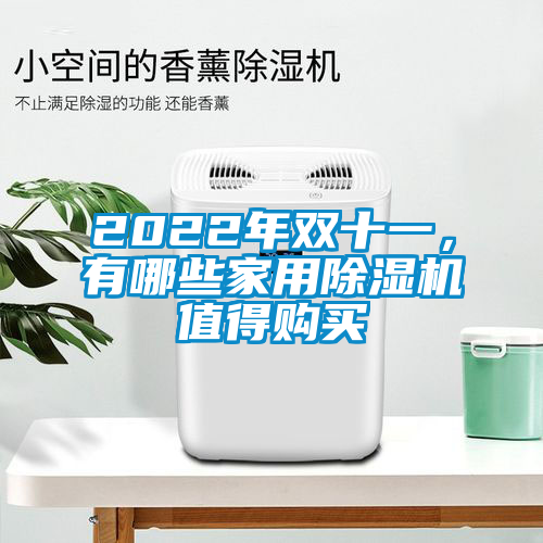 2022年雙十一，有哪些家用除濕機值得購買