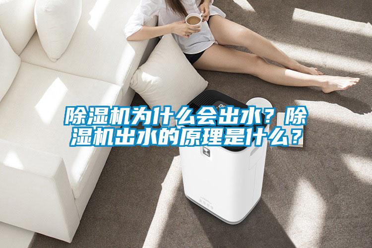 除濕機為什么會出水？除濕機出水的原理是什么？