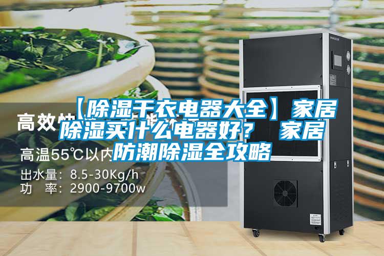 【除濕干衣電器大全】家居除濕買什么電器好？ 家居防潮除濕全攻略