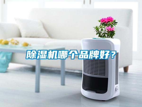 除濕機哪個品牌好？