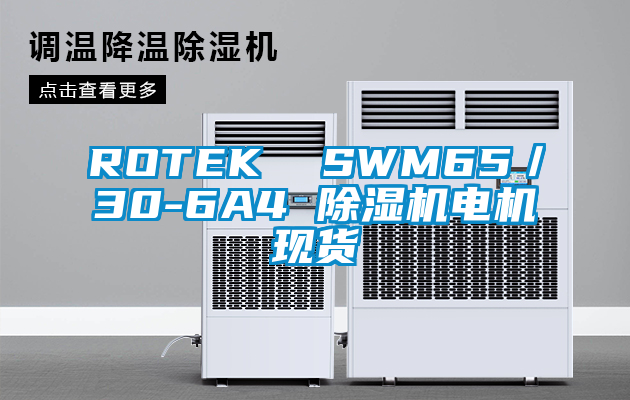 ROTEK  SWM65／30-6A4 除濕機電機現貨