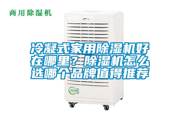 冷凝式家用除濕機好在哪里？除濕機怎么選哪個品牌值得推薦