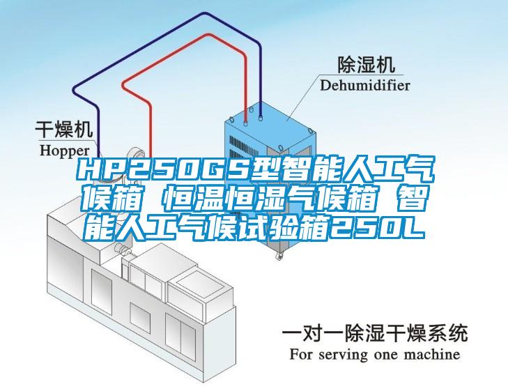 HP250GS型智能人工氣候箱 恒溫恒濕氣候箱 智能人工氣候試驗箱250L