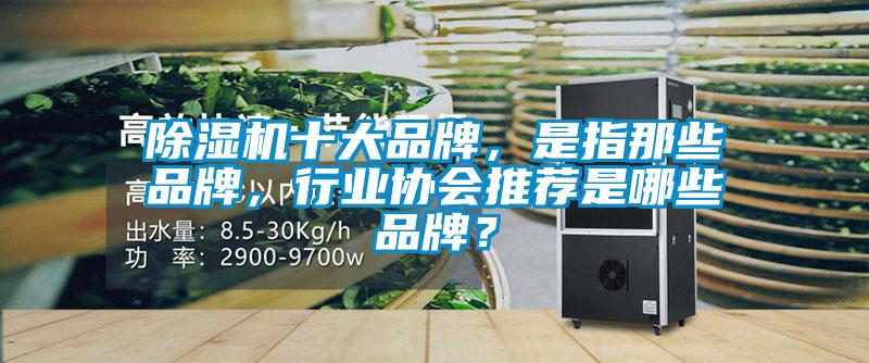 除濕機十大品牌，是指那些品牌，行業協會推薦是哪些品牌？