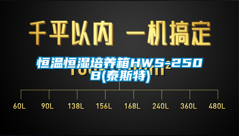 恒溫恒濕培養箱HWS-250B(泰斯特)