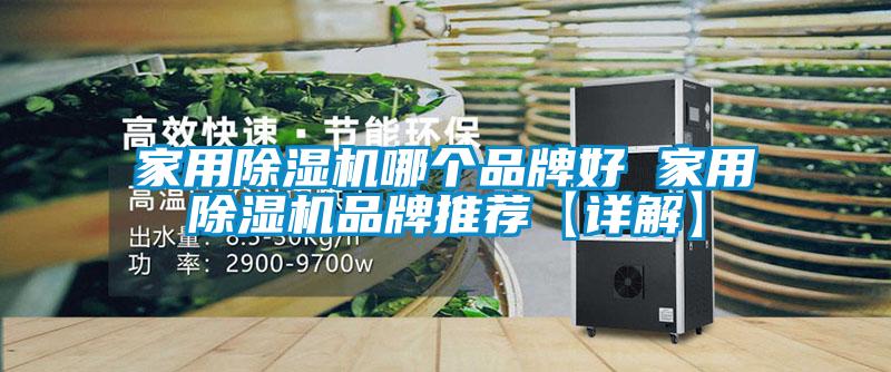 家用除濕機哪個品牌好 家用除濕機品牌推薦【詳解】