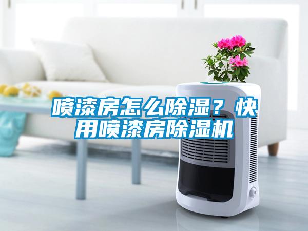 噴漆房怎么除濕？快用噴漆房除濕機