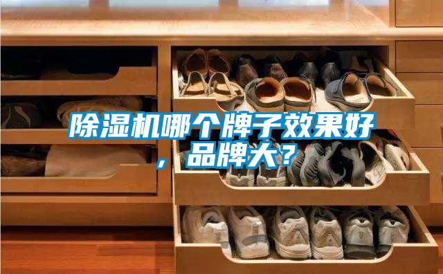 除濕機哪個牌子效果好，品牌大？