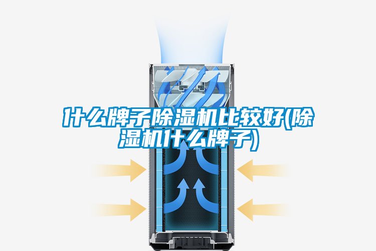 什么牌子除濕機比較好(除濕機什么牌子)