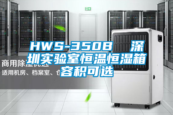 HWS-350B  深圳實驗室恒溫恒濕箱容積可選