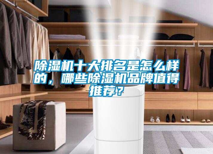 除濕機十大排名是怎么樣的，哪些除濕機品牌值得推薦？