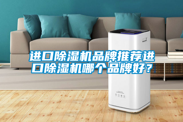 進口除濕機品牌推薦進口除濕機哪個品牌好？