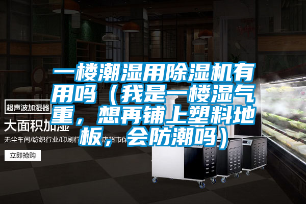 一樓潮濕用除濕機有用嗎（我是一樓濕氣重，想再鋪上塑料地板，會防潮嗎）