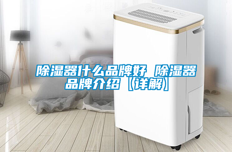 除濕器什么品牌好 除濕器品牌介紹【詳解】