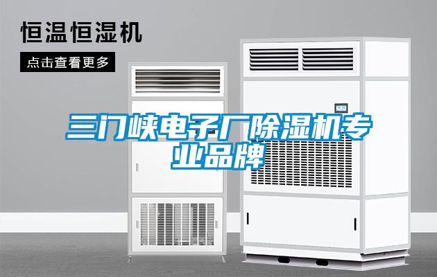 三門峽電子廠除濕機專業品牌