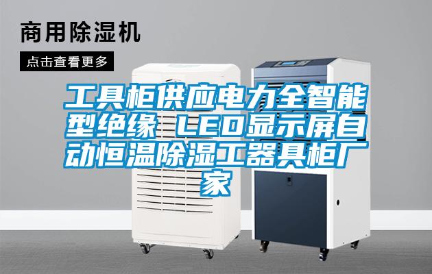 工具柜供應電力全智能型絕緣 LED顯示屏自動恒溫除濕工器具柜廠家