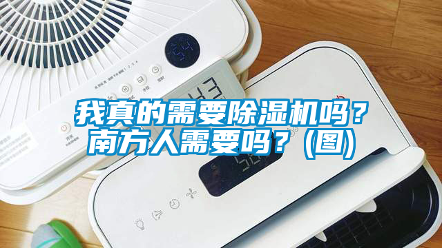 我真的需要除濕機嗎？南方人需要嗎？(圖)