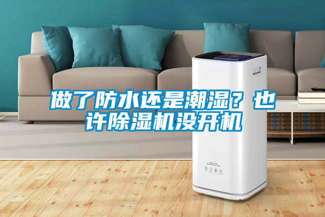 做了防水還是潮濕？也許除濕機沒開機