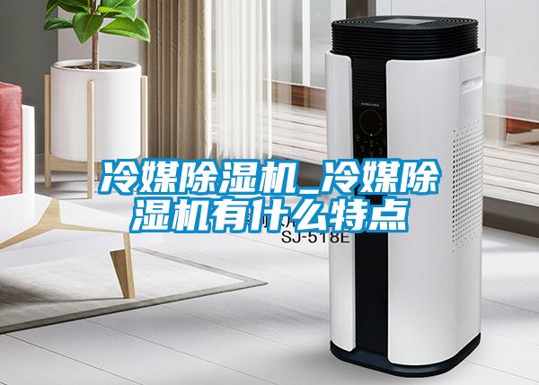 冷媒除濕機_冷媒除濕機有什么特點