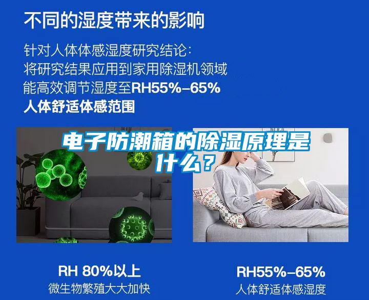 電子防潮箱的除濕原理是什么？