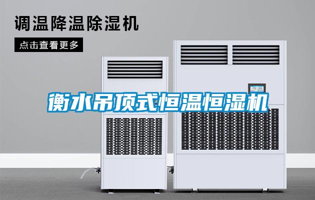 衡水吊頂式恒溫恒濕機