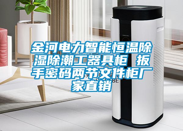 金河電力智能恒溫除濕除潮工器具柜 扳手密碼兩節文件柜廠家直銷