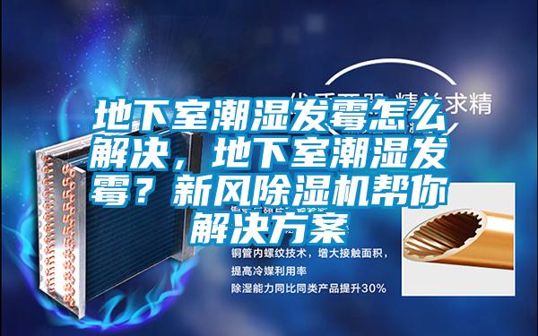 地下室潮濕發霉怎么解決，地下室潮濕發霉？新風除濕機幫你解決方案