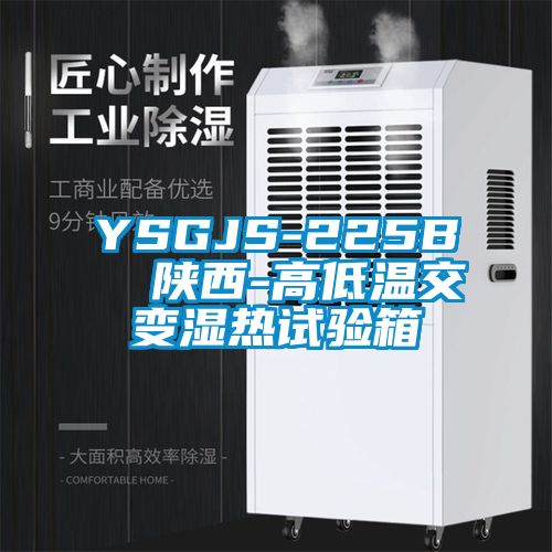 YSGJS-225B  陜西-高低溫交變濕熱試驗箱