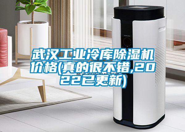 武漢工業冷庫除濕機價格(真的很不錯,2022已更新)