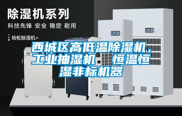 西城區高低溫除濕機，工業抽濕機  恒溫恒濕非標機器