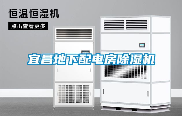 宜昌地下配電房除濕機