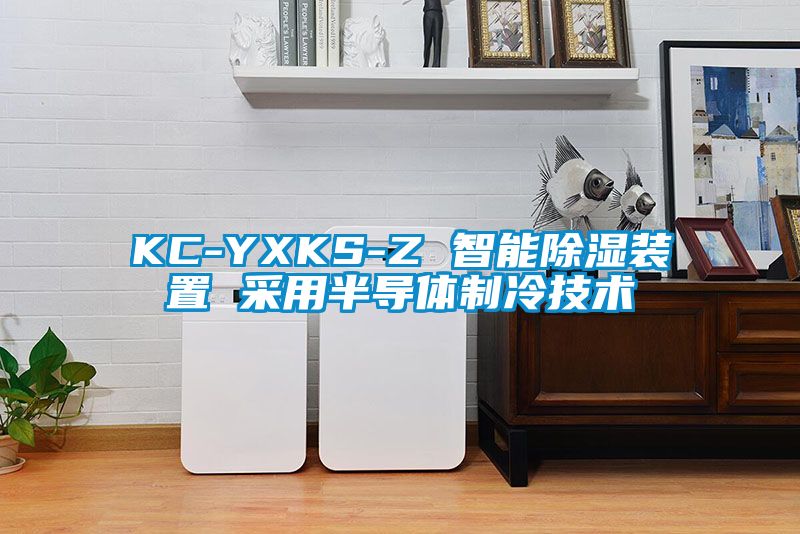 KC-YXKS-Z 智能除濕裝置 采用半導體制冷技術