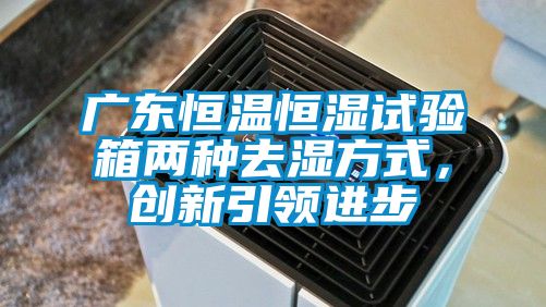 廣東恒溫恒濕試驗箱兩種去濕方式，創新引領進步