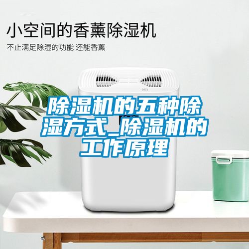 除濕機的五種除濕方式_除濕機的工作原理