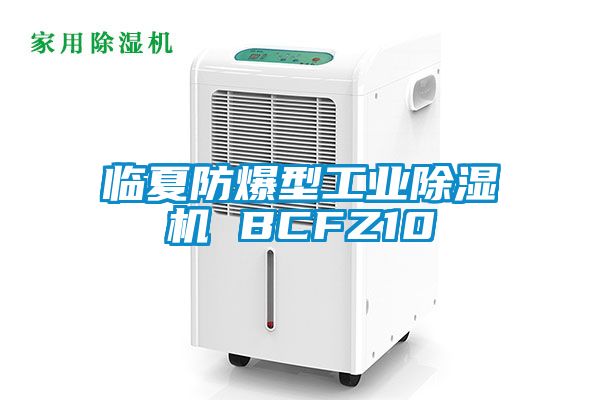 臨夏防爆型工業除濕機 BCFZ10