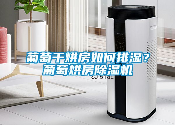 葡萄干烘房如何排濕？葡萄烘房除濕機