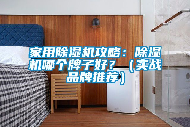 家用除濕機攻略：除濕機哪個牌子好？（實戰品牌推薦）