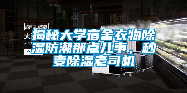 揭秘大學宿舍衣物除濕防潮那點兒事，秒變除濕老司機